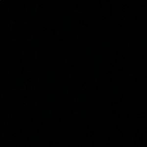 Meet your Posher, Noah